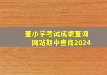 查小学考试成绩查询网站期中查询2024