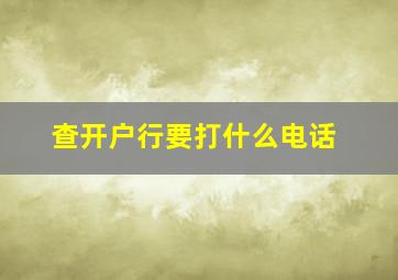 查开户行要打什么电话