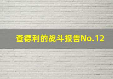 查德利的战斗报告No.12