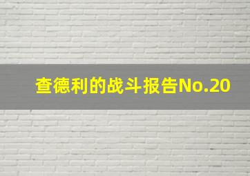 查德利的战斗报告No.20