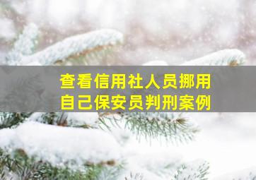 查看信用社人员挪用自己保安员判刑案例