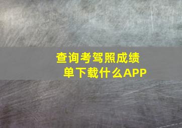 查询考驾照成绩单下载什么APP