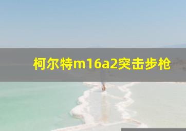 柯尔特m16a2突击步枪