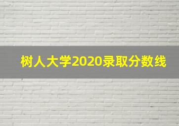 树人大学2020录取分数线