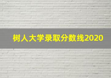 树人大学录取分数线2020