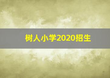 树人小学2020招生