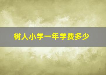 树人小学一年学费多少