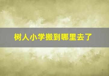 树人小学搬到哪里去了