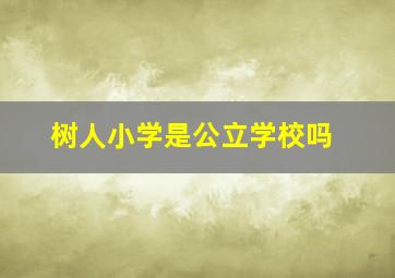 树人小学是公立学校吗