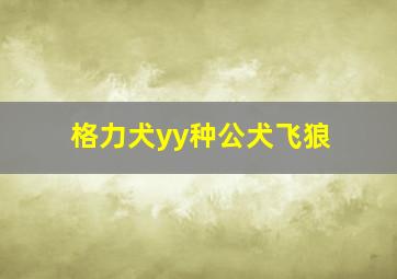 格力犬yy种公犬飞狼