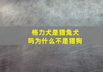 格力犬是猎兔犬吗为什么不是猎狗