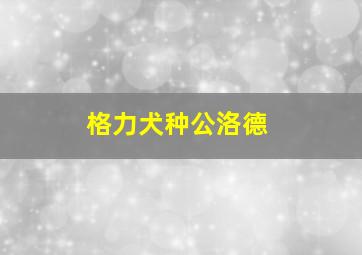 格力犬种公洛德