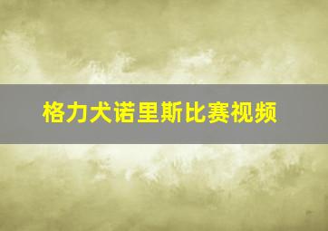 格力犬诺里斯比赛视频