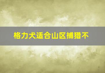 格力犬适合山区捕猎不