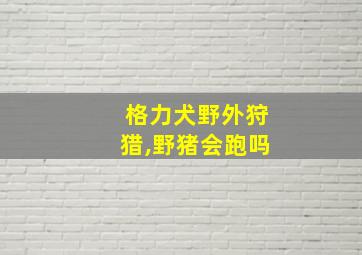 格力犬野外狩猎,野猪会跑吗