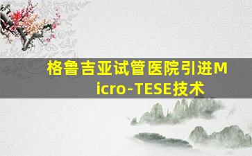 格鲁吉亚试管医院引进Micro-TESE技术