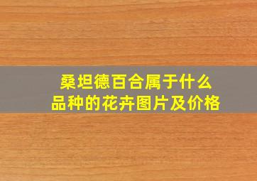 桑坦德百合属于什么品种的花卉图片及价格