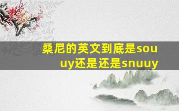 桑尼的英文到底是souuy还是还是snuuy