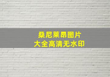 桑尼莱昂图片大全高清无水印