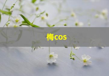 梅cos