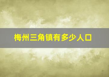 梅州三角镇有多少人口