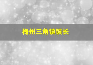 梅州三角镇镇长