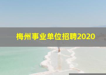 梅州事业单位招聘2020