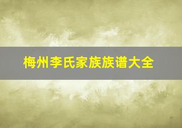 梅州李氏家族族谱大全