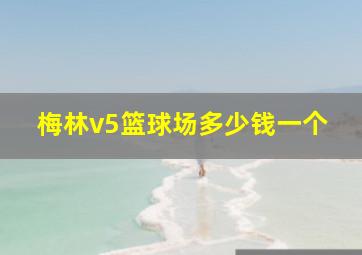 梅林v5篮球场多少钱一个