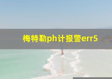 梅特勒ph计报警err5