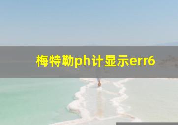 梅特勒ph计显示err6