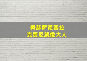 梅赫萨德塞拉克贾尼就像大人