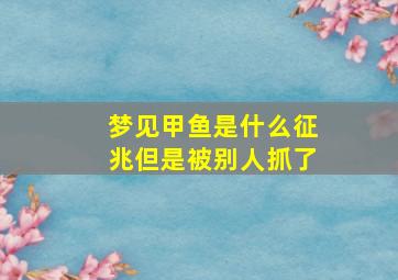 梦见甲鱼是什么征兆但是被别人抓了