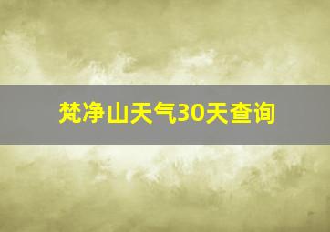 梵净山天气30天查询