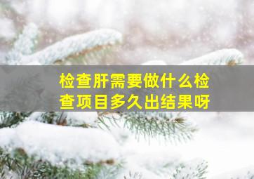 检查肝需要做什么检查项目多久出结果呀