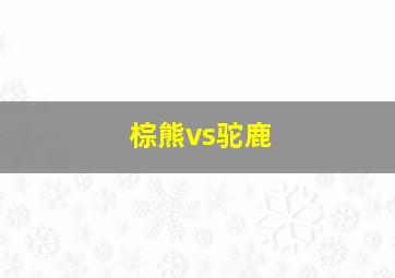 棕熊vs驼鹿