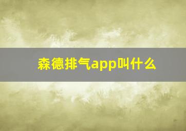 森德排气app叫什么