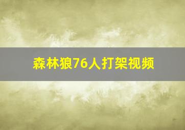 森林狼76人打架视频