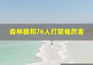 森林狼和76人打架谁厉害