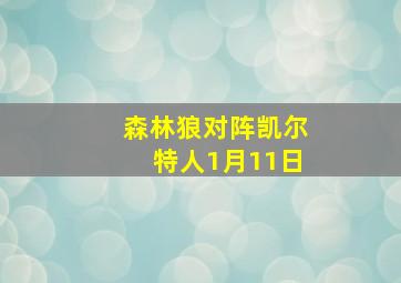 森林狼对阵凯尔特人1月11日