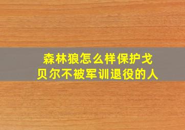 森林狼怎么样保护戈贝尔不被军训退役的人