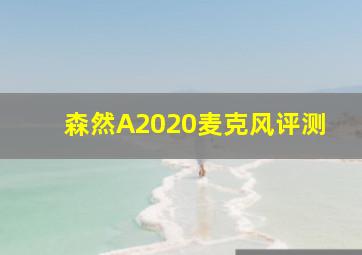 森然A2020麦克风评测