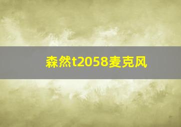 森然t2058麦克风