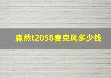 森然t2058麦克风多少钱