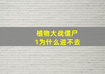 植物大战僵尸1为什么进不去