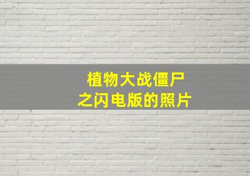 植物大战僵尸之闪电版的照片