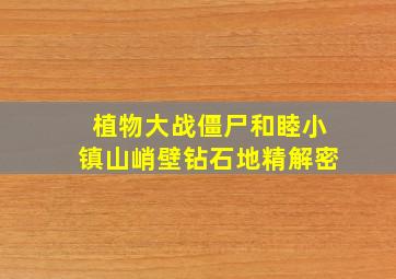 植物大战僵尸和睦小镇山峭壁钻石地精解密