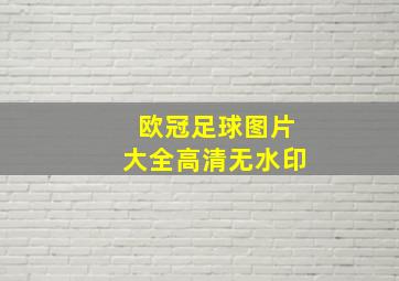 欧冠足球图片大全高清无水印