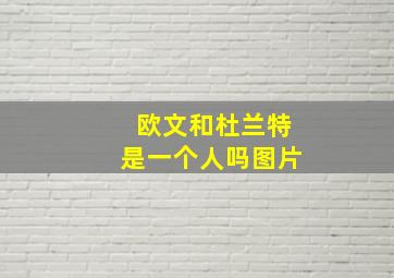 欧文和杜兰特是一个人吗图片