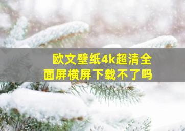 欧文壁纸4k超清全面屏横屏下载不了吗